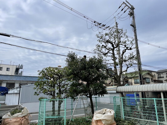 仕事画像